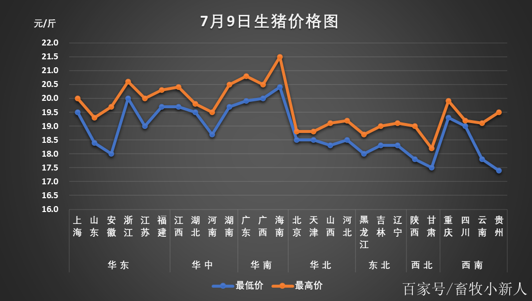 明日猪价格预测，广东省市场动态分析