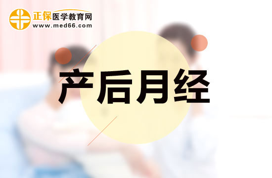 月经推迟数月后再次来潮的生理与健康解读