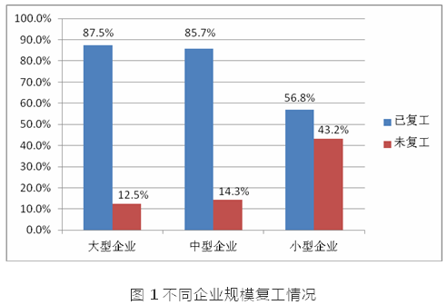 广东省复工表，疫情下的企业复工策略与实践