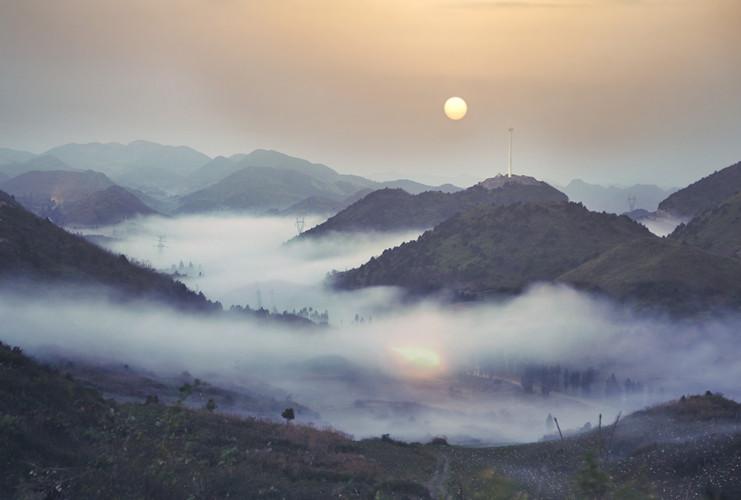 广东赵龙生物有限公司，引领生物科技新篇章