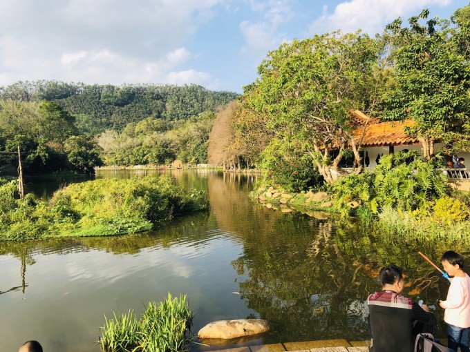 广东省深圳市仙湖植物园，绿意盎然的生态之旅