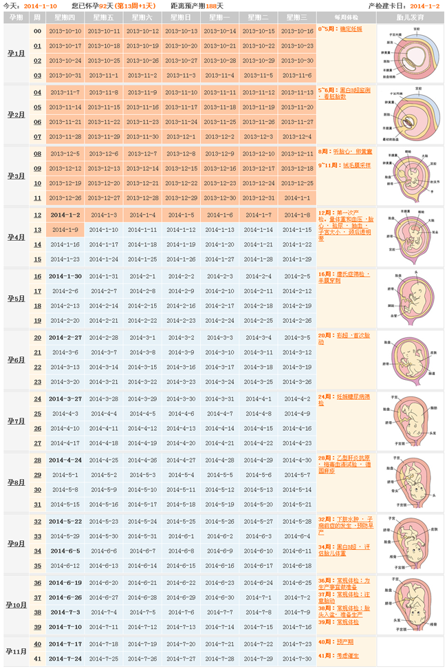 胎儿发育全周期，几个月长全？