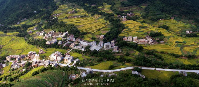 广东省信宜市贵子镇，一个充满活力的地方