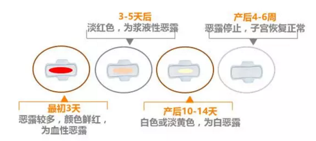 产后恢复之路，产后快两个月恶露反反复复的困扰与应对