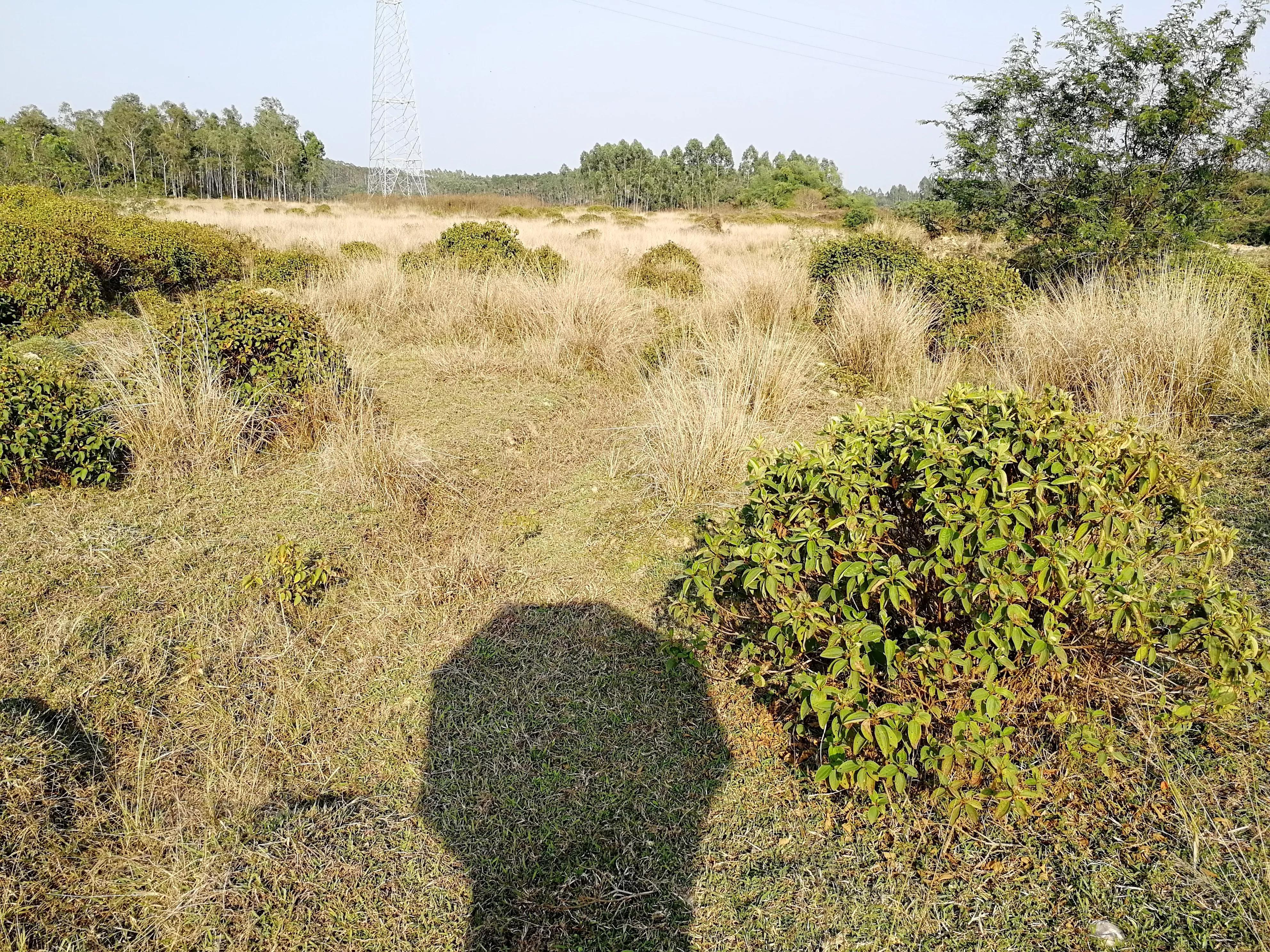 广东省土地网，资源管理、开发与保护的桥梁