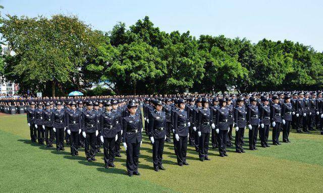 广东省公办警校数量概览